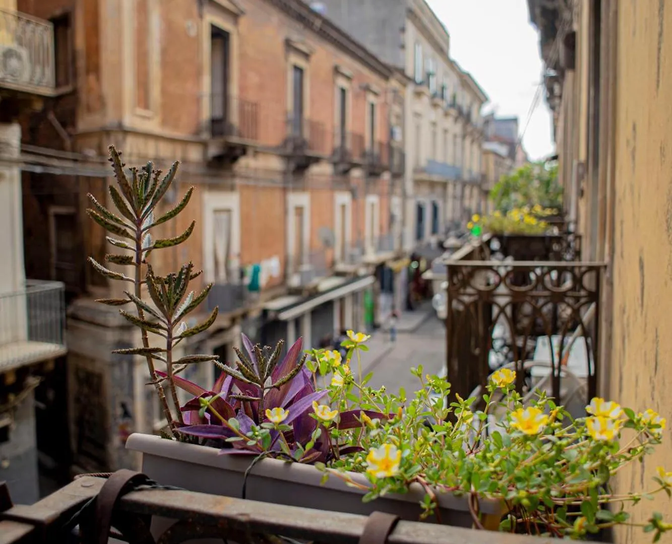 Apartment Mitha'S Rooms Catania